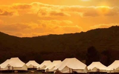 Camping Tent Manufacturers: The Best and the Worst