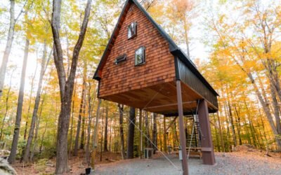 Sustainable Choices: Best Eco-Friendly Prefabricated Homes