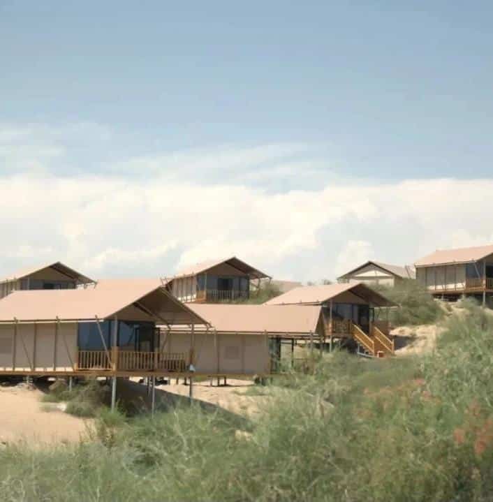 Several elevated canvas tents with wooden decks are arranged on a sandy, shrub dotted landscape under a clear sky.